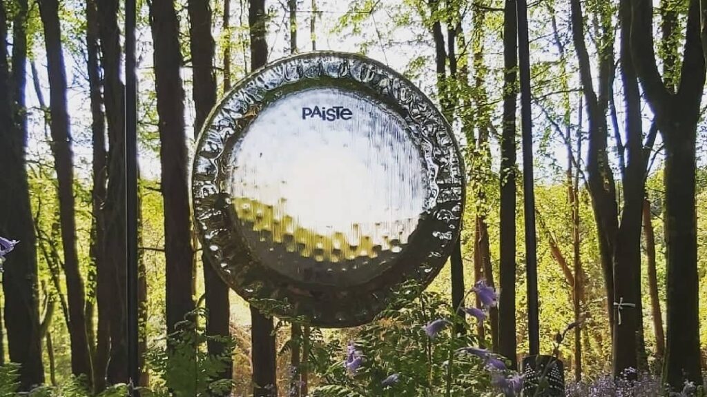 Gong hanging in forest
