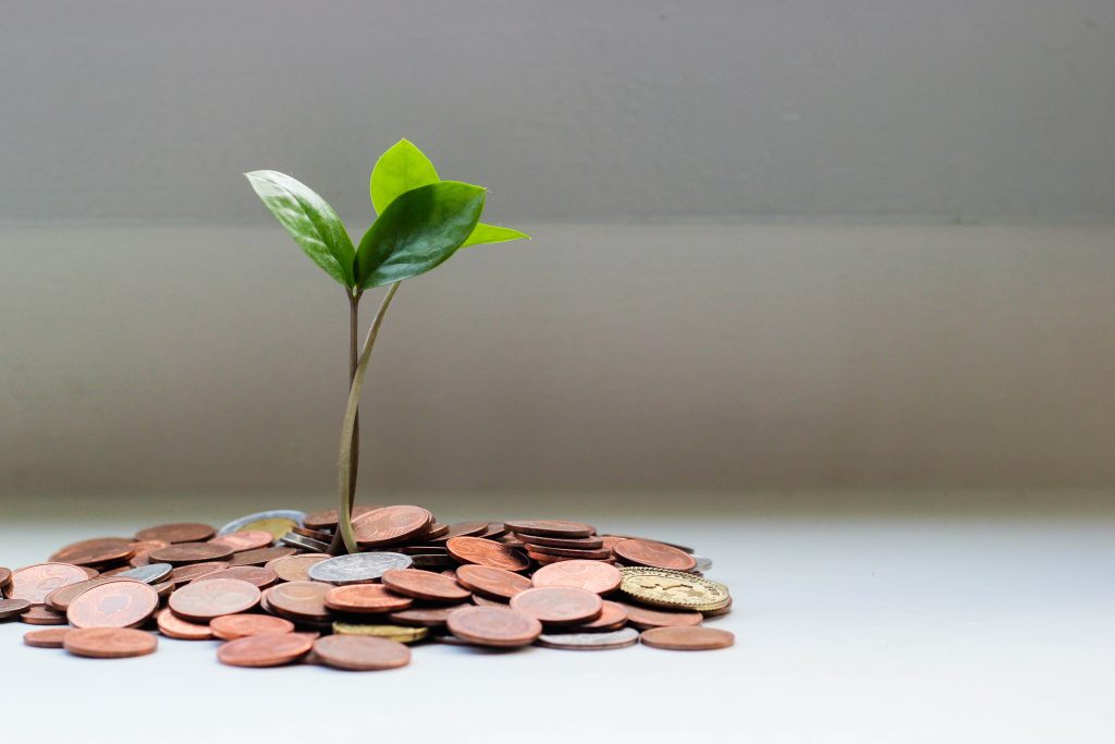 Young tree root grows from pile of pennies