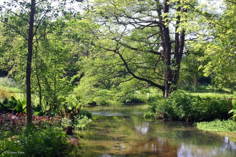 Calm scene of lake with trees and dappled sunlight