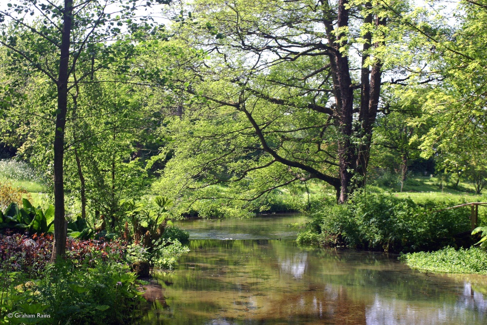 Calm scene of lake with trees and dappled sunlight