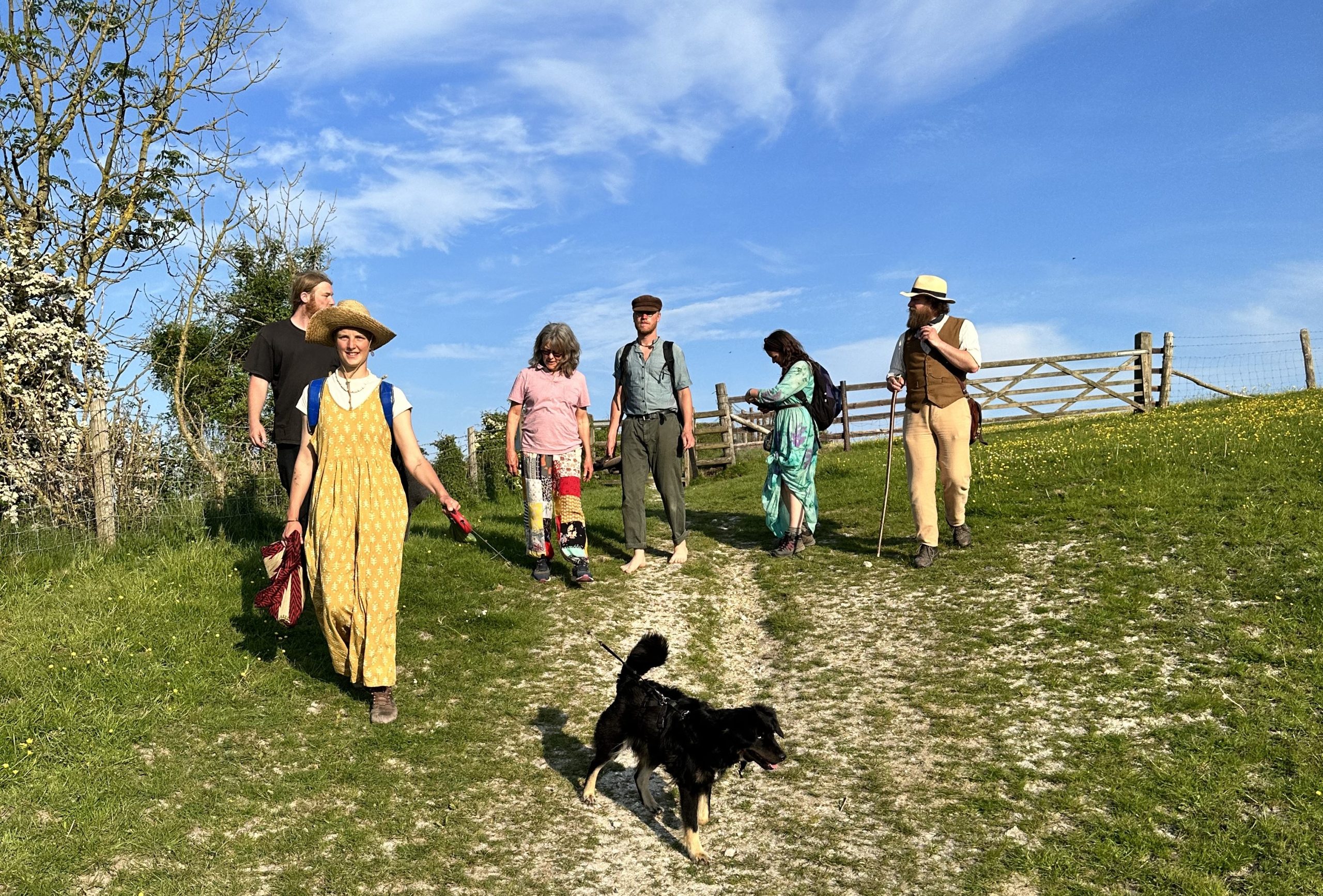 Five people with a dog walk towards the camera in the countryside with a blue sky above